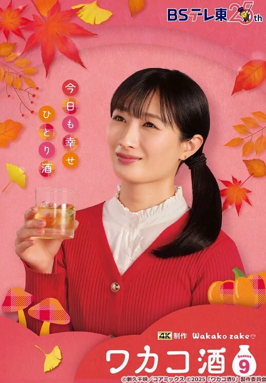 居家摄像头破解三个合租美女的日常 - AVLove海报