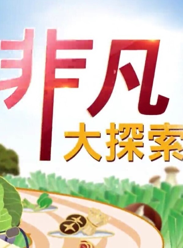 酒店偷拍 老王中午约炮单位少妇女同事跪舔鸡巴站着插几下热身各种姿势草 - AVLove海报