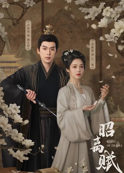 怀孕9月孕妇挤奶水口交无套啪啪自慰这么疯狂的孕妇小穴还如此粉嫩招操太难得了 - AVLove海报